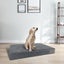Egg-Crate Foam Dog Bed Pet Sleeping Comfort - Brand New NZ Stock Carousel 4
