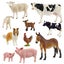 Schleich Farm Animals - 10 piece set Carousel 1