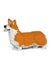 Loading Image 1 of 2