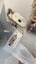$1 R: Warm belly belt compress massager for pain relief like period pain etc Carousel 5