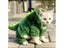 Pet Cat Dog Halloween Dog Clothes For Small Dogs Funny Dinosaur Cosplay Costume Carousel 3