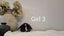Mini lops Carousel 10
