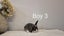 Mini lops Carousel 13