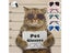 Pet Fashion Cat Sunglasses Reflection Eye Wear Flying Glasses Small Dog Cat Pet Carousel 3