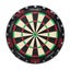 Target Darts TOR Dart Board + Winmau Blade 6 Grey Surround + Darts Set Carousel 3