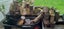 Walnut Tree Wood Carousel 3