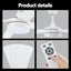 52inch Ceiling Fan LED Light Carousel 13