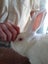 NZ White Rabbits Carousel 1