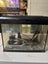Ecostyle 47 tank set up Carousel 4