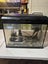 Ecostyle 47 tank set up Carousel 3