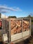 Dry Casuarina Firewood Carousel 5