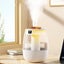 Hod Health & Home 1300Ml Aroma Humidifier Double Spray Port Usb Water With Light Carousel 3