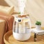 Hod Health & Home 1300Ml Aroma Humidifier Double Spray Port Usb Water With Light Carousel 5