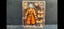 S.H.F SSGSS Goku Carousel 4