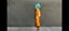S.H.F SSGSS Goku Carousel 9