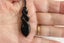 BEAUTIFUL DOUBLE TWIST PENDANT #223 Carousel 1