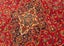 Vintage Ardakan Hand-Knotted Wool Persian Rug (Size: 250 X 340 CM) Carousel 7