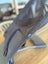 Baby Bjorn Bouncer Carousel 3