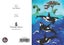 Jo May Greetings Card with C6 Blue Envelope - Orca Carousel 1