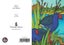 Jo May Greetings Card with C6 Blue Envelope - Pukeko Carousel 1