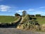 gallery view thumbnail