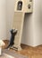 Cat's gym Carousel 6