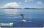 New Zealand Telecom Used Phone Card Carousel 1