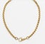 Cathy Pope Wide Gold Snake Chain Double Catch Carousel 1
