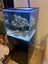 Marine Tank Carousel 5