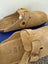 Birkenstock Boston Regular Fit (Beige, Size 39 EU) Carousel 3
