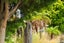 gallery view thumbnail