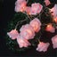 My Decorations Pink Rose 3D String Lights Battery Operated Indoor Outdoor Party Carousel 3