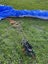 Paramotor and gear Carousel 8