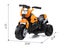 Kids Electric Bike Carousel 4