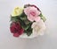Aynsley Flower Posy Ornament Carousel 1