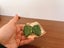 Vintage 1930’s? Green Bakelite Belt Buckles X2 Carousel 2