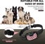 Anti Bark Dog Collar NZ Clearance Sale Carousel 6