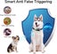 Anti Bark Dog Collar NZ Clearance Sale Carousel 5
