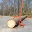 Loading Image 1 of 7