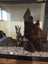 Fish Tank & Tropical Fish (Electric Yellow Cichlids & Clown Loaches) Carousel 4