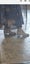 Django & Juliette Full Length Stretch Suede Boots Size 38 Carousel 3