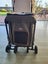 Dog Travel Pram Carousel 4