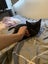 Rescue kitten ready for her new home today Carousel 1