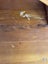 Rumi Dresser with Mirror – Around 20 Years Old Carousel 7