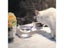 Non-slip Cat Bowls Double Pet Bowls With Holder Pet Food And Water Bowls Carousel 5