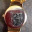 Pierre Cardin watch, chic and sparkly Carousel 6