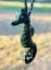 Greenstone Seahorse Carousel 1