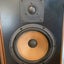Beautiful Vintage Avalon Arc II Speakers - Lovely Sound Carousel 11