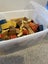 Loading Image 2 of 2