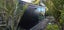 7*4m 28sqm Glass Wall PORTABLE BUILDING / CABIN / BUILDING / TINY HOUSE / UNIT Carousel 4